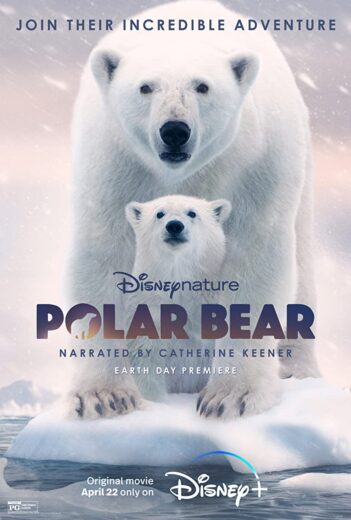 فيلم Polar Bear 2022 مترجم اون لاين