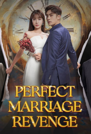 مسلسل Perfect Marriage Revenge مترجم الموسم 1